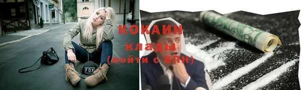 молекула духа Алексин