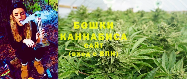 спиды Нея
