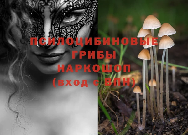 молекула духа Алексин