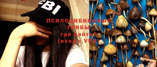 Альфа ПВП Алзамай