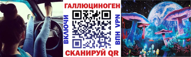 Галлюциногенные грибы мицелий  купить   Ставрополь 